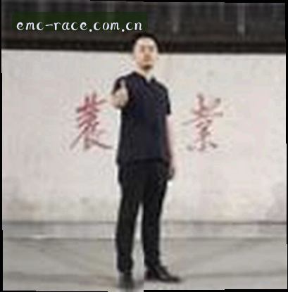 孙莉